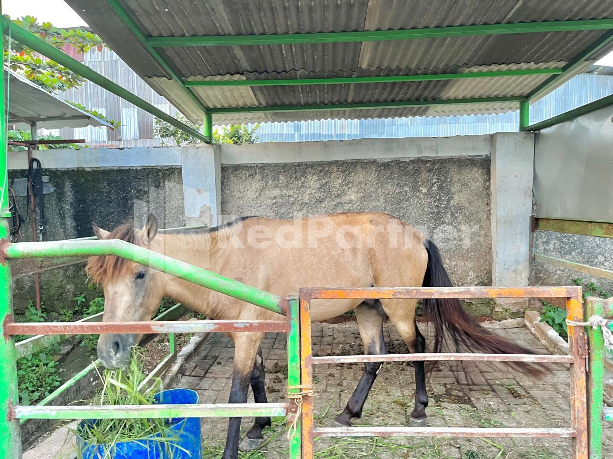 OYO 90222 Lafa Park Syariah Otel Cibeber Dış mekan fotoğraf